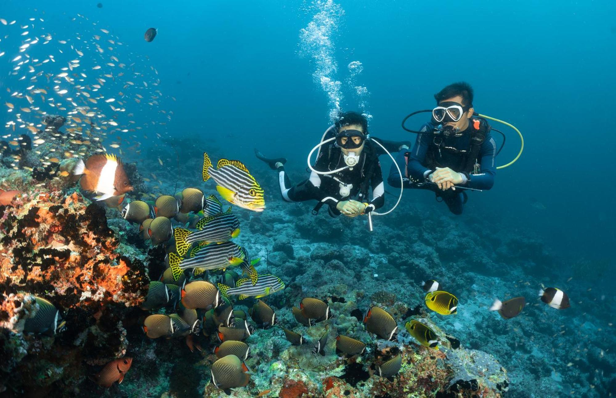 Bandos Maldives - One Way Transfer Free For Stays From 1St May Till 30Th Sept 2025 For Bookings From 16 Apr 2025 Bandos Island Esterno foto
